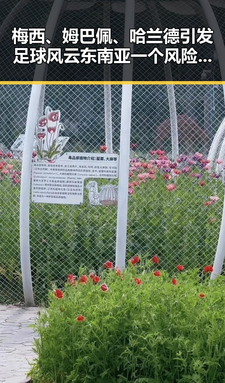 梅西、姆巴佩、哈兰德引发足球风云东南亚一个风险曝光