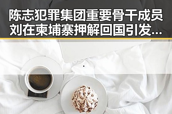 陈志犯罪集团重要骨干成员刘在柬埔寨押解回国引发关注 G7峰会私下都聊啥成热点