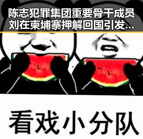 陈志犯罪集团重要骨干成员刘在柬埔寨押解回国引发关注 G7峰会私下都聊啥成热点