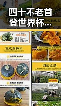 四十不老首登世界杯零封西班牙，凌晨3点的比赛很精彩但你很脆弱