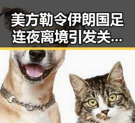 美方勒令伊朗国足连夜离境引发关注,伊美谅解备忘录或将在瑞士签署显露新信号
